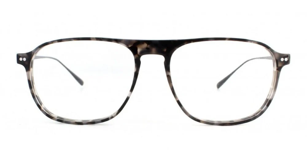 PAUL - Image 4